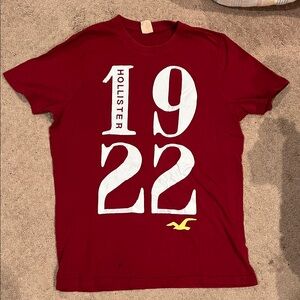 Hollister Mens Brick Red Logo T-Shirt
